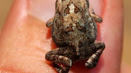 Nonprofits, don’t be afraid to “think small” on social media