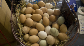 Don’t put all your eggs into the online giving basket – yet
