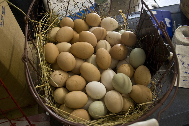 Don't put all your eggs into the online fundraising basket - yet