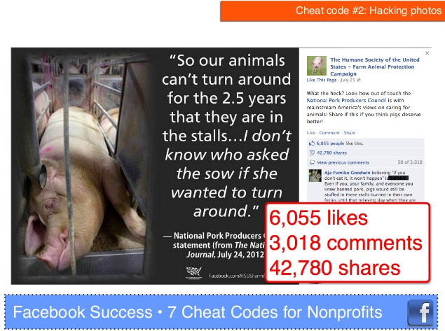 Facebook success 7 cheat codes for nonprofits