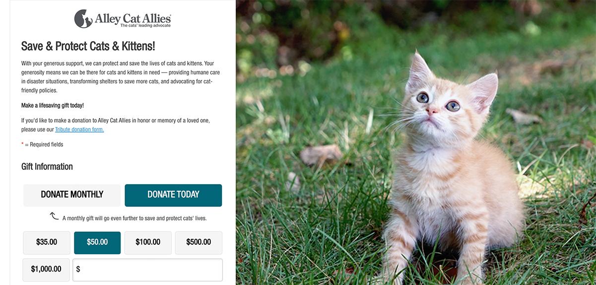 The Alley Cat Allies donation page showcases nonprofit website design best practices.  